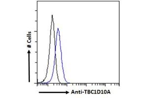 ABIN6391415 Flow cytometric analysis of paraformaldehyde fixed HEK293 cells (blue line), permeabilized with 0. (TBC1D10A antibody  (N-Term))