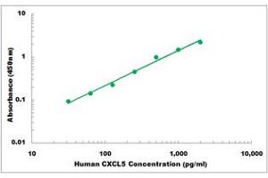 Representative Standard Curve (CXCL5 ELISA Kit)