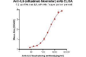 ELISA plate pre-coated by 2 μg/mL (100 μL/well) Human IL6, mFc-His tagged protein ABIN6961105, ABIN7042239 and ABIN7042240 can bind Anti-IL6 Neutralizing antibody in a linear range of 7. (Recombinant IL6 (Siltuximab Biosimilar) antibody)