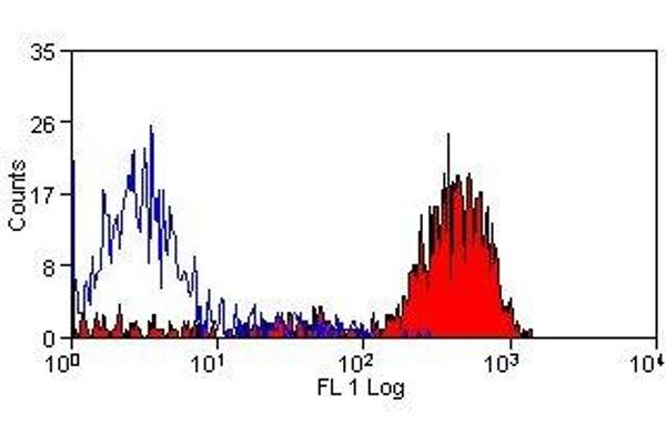 CD41, CD61 antibody