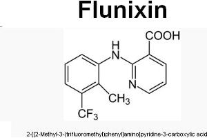 Image no. 1 for anti-Flunixin antibody (ABIN487692) (Flunixin antibody)