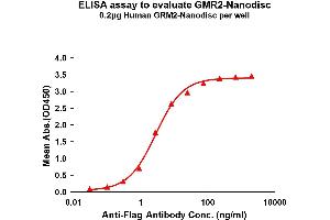 Elisa plates were pre-coated with Flag Tag -Nanodisc (0. (GRM2 Protein)