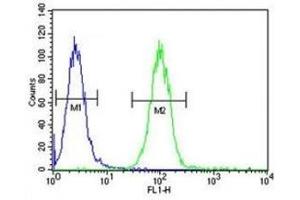 Annexin A1 antibody flow cytometric analysis of A2058 cells (green) compared to a negative control (blue). (Annexin a1 antibody  (AA 129-158))