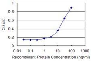 Detection limit for recombinant GST tagged DNAJC3 is 0. (DNAJC3 antibody  (AA 1-234))