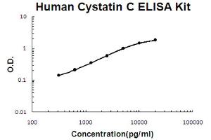 Human Cystatin C Accusignal ELISA Kit Human Cystatin C AccuSignal ELISA Kit standard curve. (CST3 ELISA Kit)