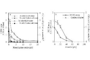 Image no. 2 for CellCountEZ™ Cell Survival Assay Kit (ABIN1607918)