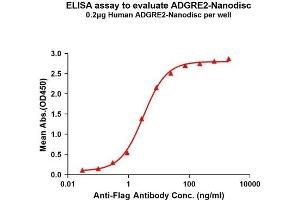 Elisa plates were pre-coated with Flag Tag AD-Nanodisc (0. (ADGRE2 Protein)
