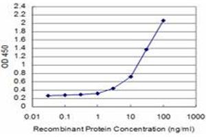 Detection limit for recombinant GST tagged SMAD3 is approximately 1ng/ml as a capture antibody. (SMAD3 antibody  (AA 1-110))