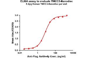 Elisa plates were pre-coated with Flag Tag T-Nanodisc (0. (TMCC3 Protein)
