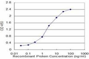 Detection limit for recombinant GST tagged STAT5A is approximately 0. (STAT5A antibody  (AA 1-104))