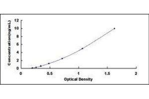 ELISA image for Growth Hormone 1 (GH1) ELISA Kit (ABIN414380) (Growth Hormone 1 ELISA Kit)