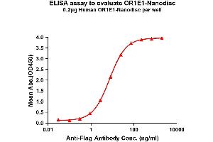 ELISA image for Olfactory Receptor 1E5 (OR1E1) protein (ABIN7538414)