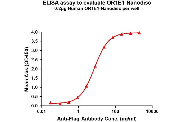 OR1E1 Protein