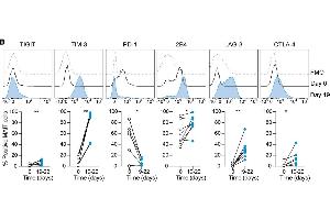 Representative example and average expression of the indicated inhibitory receptorson MAIT cells over time in culture (n = 6–8) using LAG-3 antibody (ABIN1169105). (LAG3 antibody  (N-Term))