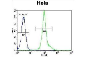 Flow Cytometry (FACS) image for anti-Lymphocyte-Specific Protein tyrosine Kinase (LCK) antibody (ABIN3001655) (LCK antibody)