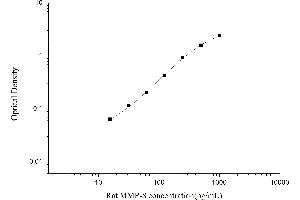 MMP8 ELISA Kit