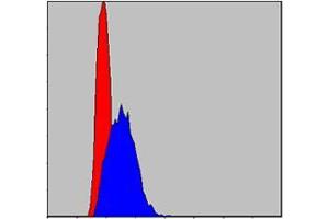 Flow Cytometry (FACS) image for anti-Jun Proto-Oncogene (JUN) antibody (ABIN968994)