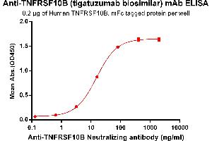 ELISA plate pre-coated by 2 μg/mL (100 μL/well) Human TNFB, mFc tagged protein ABIN6961152, ABIN7042333 and ABIN7042334 can bind Anti-TNFB  Neutralizing antibody in a linear range of 3. (Recombinant TNFRSF10B (Tigatuzumab Biosimilar) antibody)
