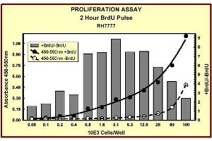 ELISA image for Bromodeoxyuridine (BrdU) ELISA Kit (ABIN955803)