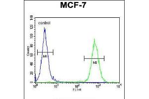 Flow cytometric analysis of MCF-7 cells (right histogram) compared to a negative control cell (left histogram). (ARHGAP44 antibody  (C-Term))