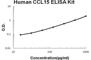 CCL15 ELISA试剂盒