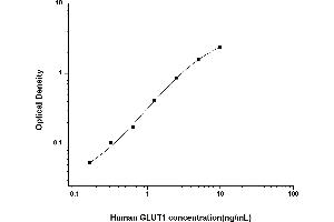 Typical standard curve (GLUT1 ELISA Kit)