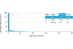 Analysis of Protein Array containing more than 19,000 full-length human proteins using Prolactin Mouse Monoclonal Antibody (PRL/2643). (Prolactin antibody  (AA 63-201))