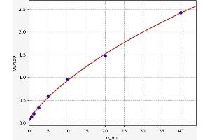 Typical standard curve (Synaptophysin ELISA Kit)