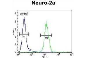 Flow cytometric analysis of Neuro-2a cells using LCN10 Antibody (Center) Cat. (LCN10 antibody  (Middle Region))