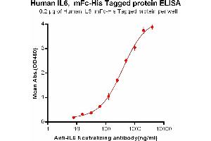ELISA plate pre-coated by 2 μg/mL (100 μL/well) Human IL6, mFc-His tagged protein (ABIN6961105, ABIN7042239 and ABIN7042240) can bind Anti-IL6 Neutralizing antibody ABIN6964420 and ABIN7272556 in a linear range of 7. (IL-6 Protein (AA 30-212) (mFc-His Tag))