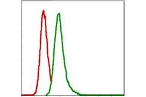 Flow Cytometry (FACS) image for anti-Glucose-6-Phosphate Dehydrogenase (G6PD) antibody (ABIN969161)