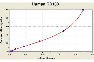 Diagramm of the ELISA kit to detect Human CD163with the optical density on the x-axis and the concentration on the y-axis. (CD163 ELISA Kit)