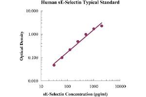 Typical standard curve (Selectin E/CD62e ELISA Kit)