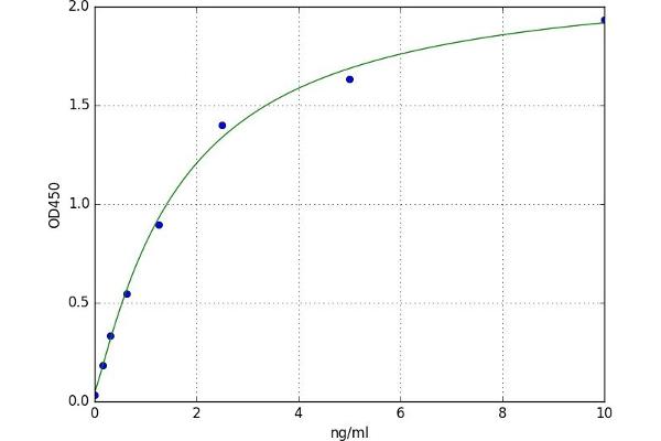 ASTL ELISA Kit