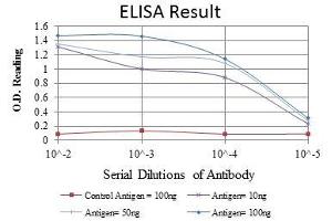 ELISA image for anti-B-Cell Linker (BLNK) antibody (ABIN968984)