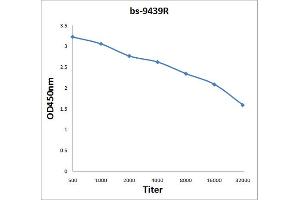 ELISA image for anti-Forkhead Box O1 (FOXO1) (AA 165-270) antibody (ABIN1387620)