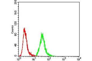 Flow Cytometry (FACS) image for anti-Ezrin (EZR) (AA 292-464) antibody (ABIN5542456)