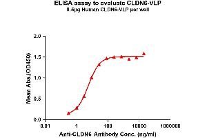Elisa plates were pre-coated with 0. (Claudin 6 Protein-VLP (CLDN6))