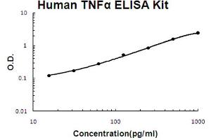 Human TNF alpha Accusignal ELISA Kit Human TNF alpha AccuSignal ELISA Kit standard curve. (TNF alpha ELISA Kit)