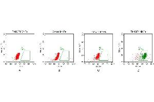 FACS analysis of TM4SF1 MNPs A. (TM4SF1 Protein)
