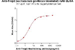 ELISA plate pre-coated by 2 μg/mL (100 μL/well) Human Trop2, mFc-His tagged protein ABIN6961178, ABIN7042385 and ABIN7042386 can bind Anti-Trop2 Neutralizing antibody in a linear range of 0. (Recombinant Trop2 (Sacituzumab Biosimilar) antibody)