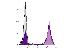 Human peripheral blood lymphocytes were stained with Mouse Anti-Human CD5-UNLB followed by Goat F(ab’)2 Anti-Mouse IgG2a, Human ads-PE. (Goat anti-Mouse IgG2a Antibody (PE) - Preadsorbed)