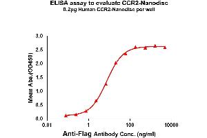 ELISA image for Chemokine (C-C Motif) Receptor 2 (CCR2) protein (ABIN7491557)