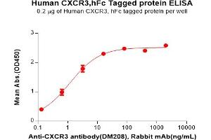 ELISA plate pre-coated by 2 μg/mL (100 μL/well) Human C Protein, hFc Tag(ABIN6964153, ABIN7042583 and ABIN7042584) can bind Anti-C antibody(DM208), Rabbit mAb in a linear range of 0. (CXCR3 Protein (AA 1-53) (Fc Tag))