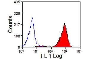 Flow Cytometry (FACS) image for anti-MHC, Class I antibody (ABIN2475584) (MHC, Class I antibody)