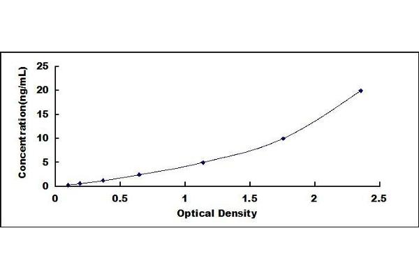 CTH ELISA Kit