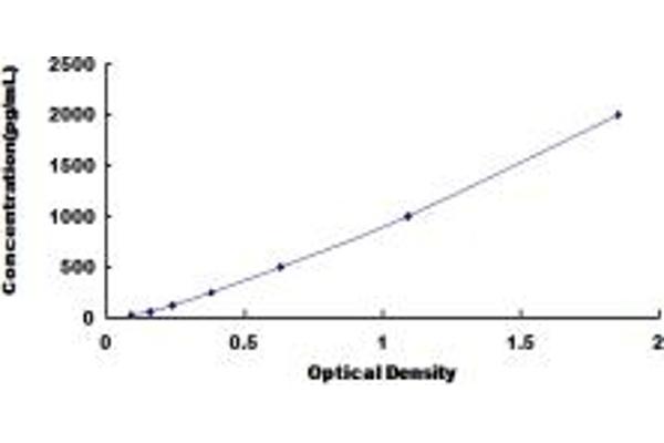 CNTF ELISA Kit