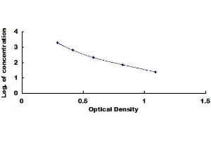 Typical standard curve (Copeptin ELISA Kit)