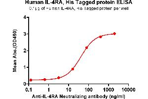 ELISA plate pre-coated by 1 μg/mL (100 μL/well) Human IL-4RA , His tagged protein (ABIN7092717, ABIN7272258 and ABIN7272259) can bind Anti-IL-4RA Neutralizing antibody ABIN7477984 and ABIN7490906 in a linear range of 16-80 ng/mL. (IL4 Receptor Protein (AA 26-232) (His tag))