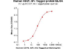 ELISA plate pre-coated by 2 μg/mL (100 μL/well) Human CD27, hFc tagged protein (ABIN6961160, ABIN7042349 and ABIN7042350) can bind Human CD70,mFc-His tagged protein ABIN6961112, ABIN7042253 and ABIN7042254 in a linear range of 3. (CD27 Protein (AA 20-191) (Fc Tag))